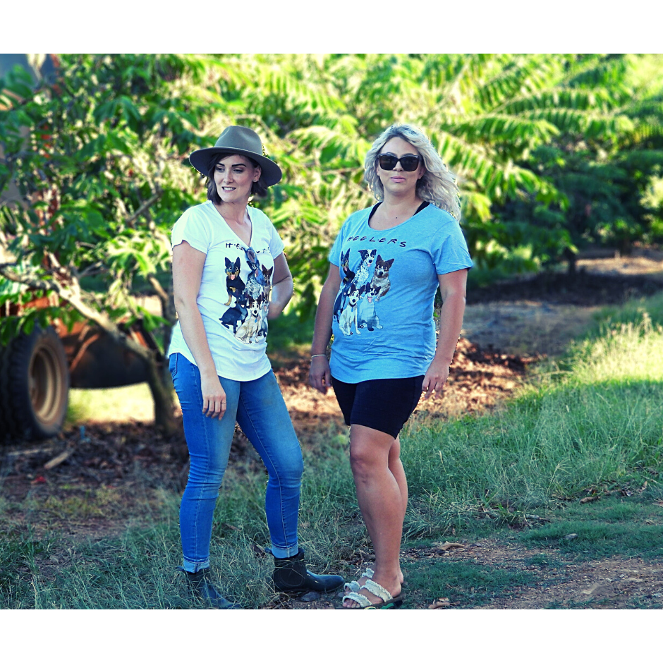 womens,ladies, cotton tee, cotton tshirt, blue heeler, cattle dogs, friends, scooped neck tee.