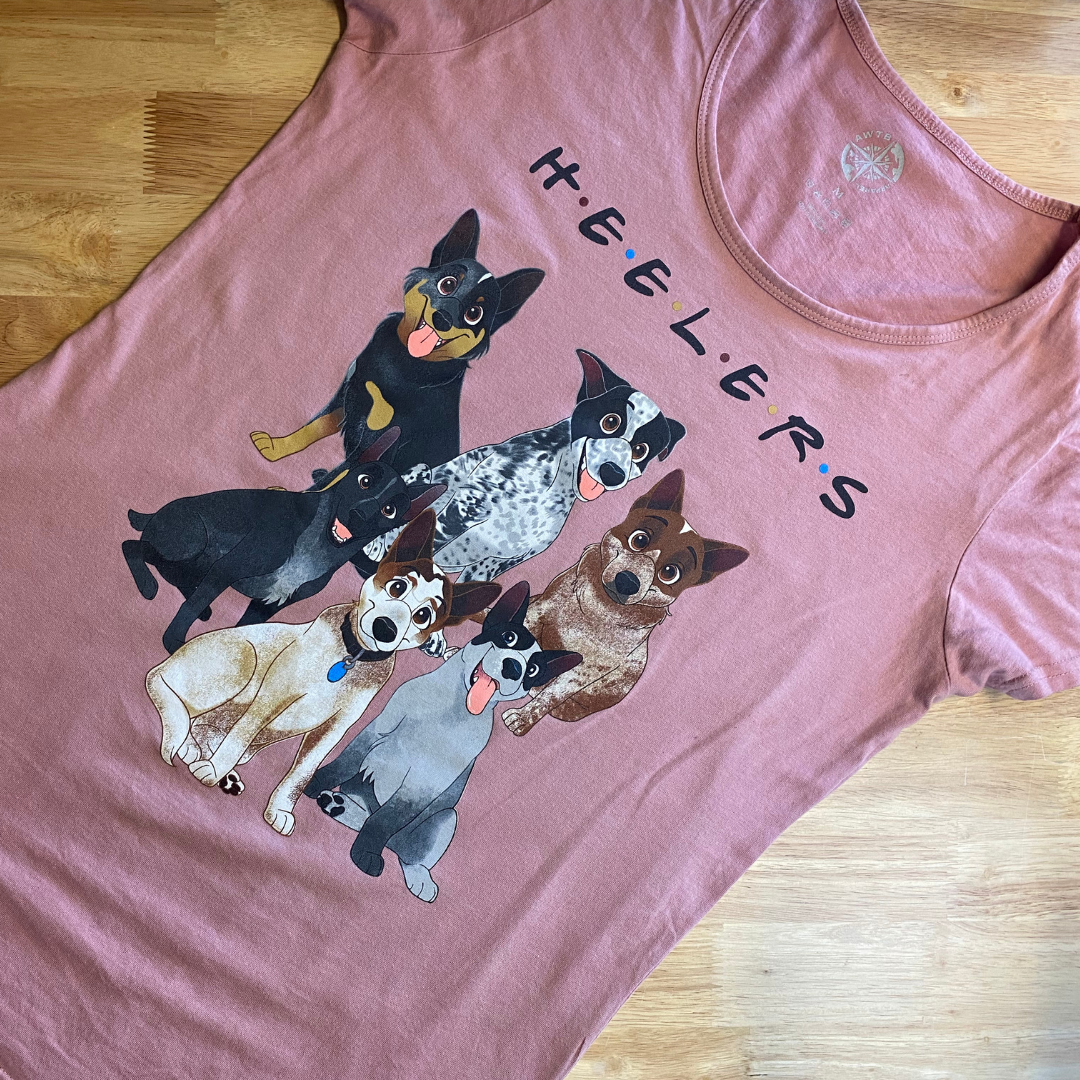 womens,ladies, cotton tee, cotton tshirt, blue heeler, cattle dogs, friends, scooped neck tee, rose pink