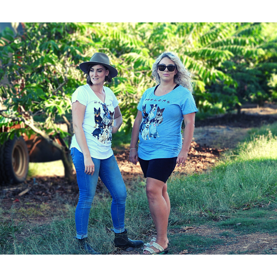 womens,ladies, cotton tee, cotton tshirt, blue heeler, cattle dogs, friends, scooped neck tee. 